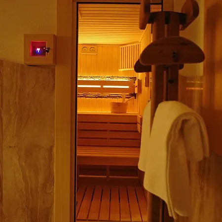 Angelika Basen Jacuzzi Sauna W Cenie Pobytu Murzasichle